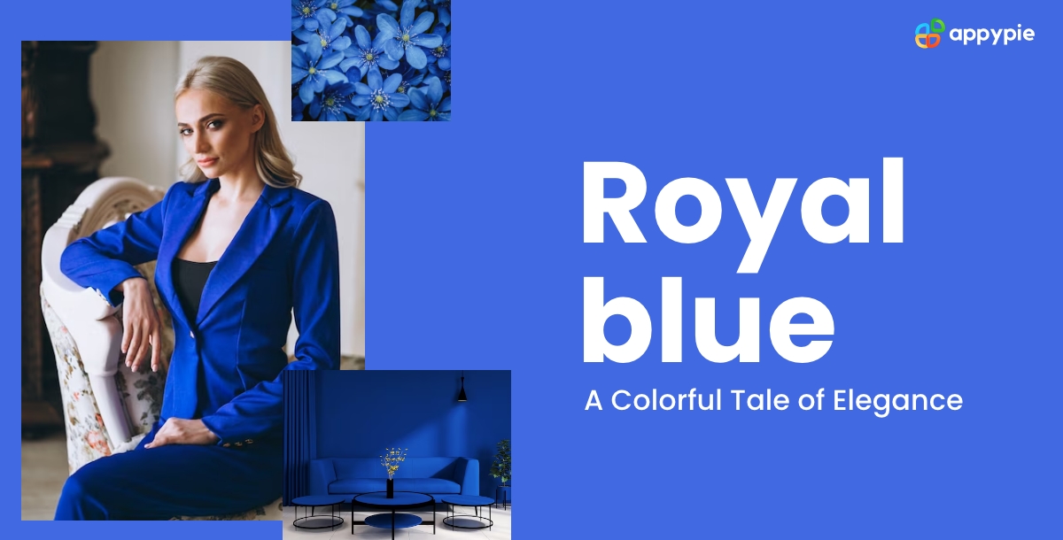 Difference Between Royal Blue And Navy Blue Color, History, & Hex Codes