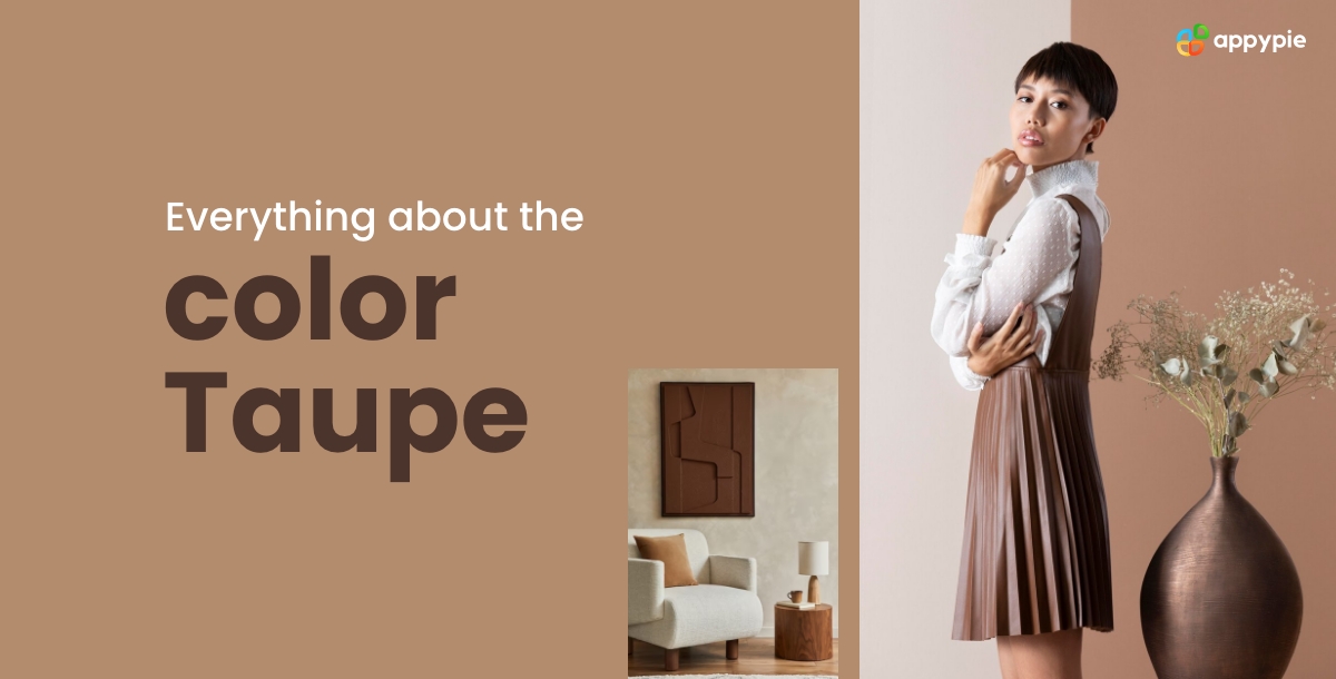 Everything about the color Taupe
