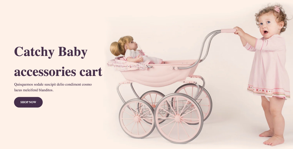 Baby-Cart-Store