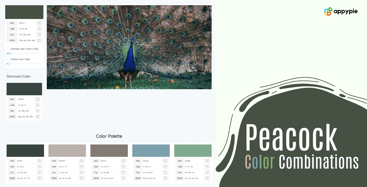 Peacock Color Combinations