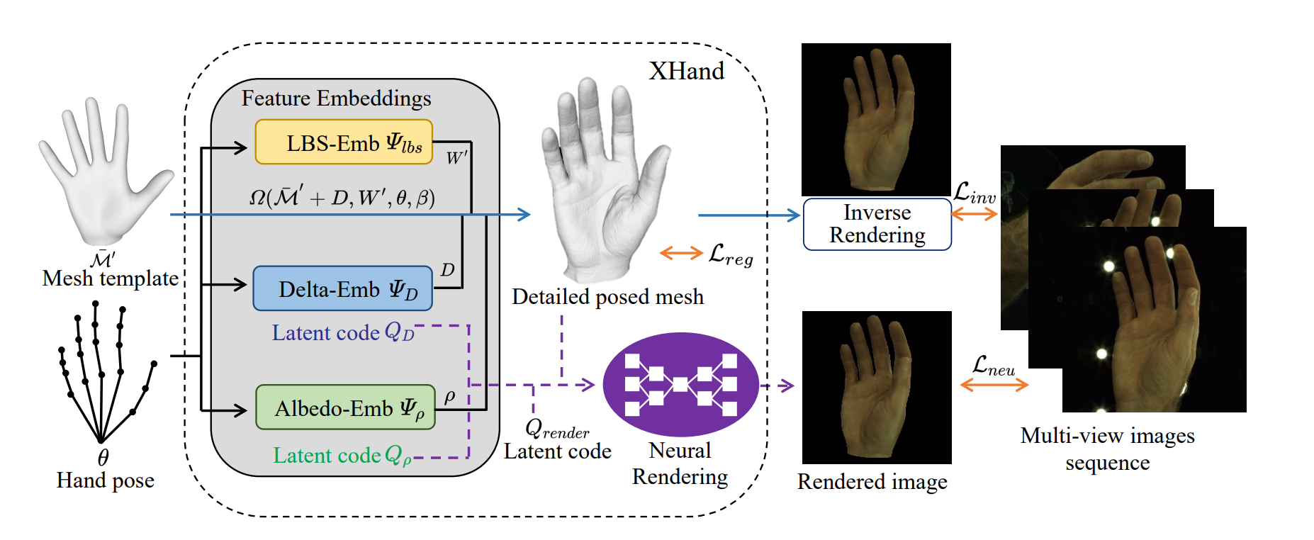 XHand: Real-time Expressive Hand Avatar
