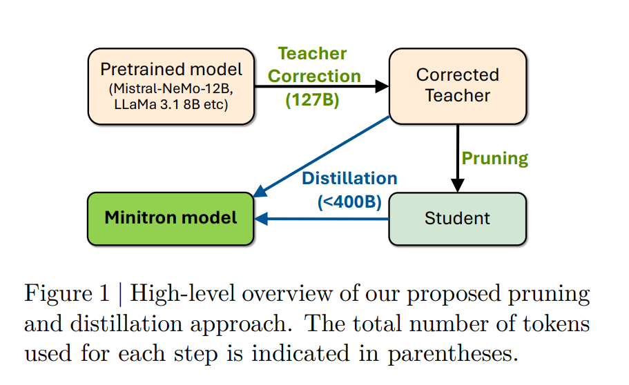 LLM: Pruning and Distillation in Practice