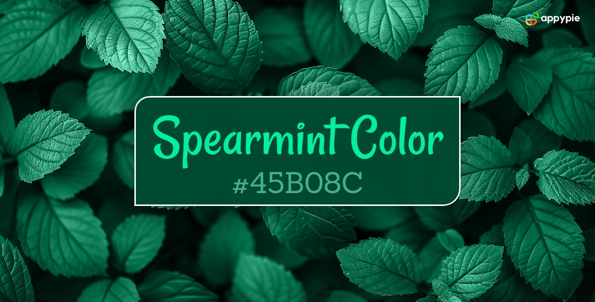 Spearmint